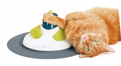 50720	Массажный центр, Малайзия